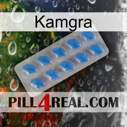 Kamgra 22